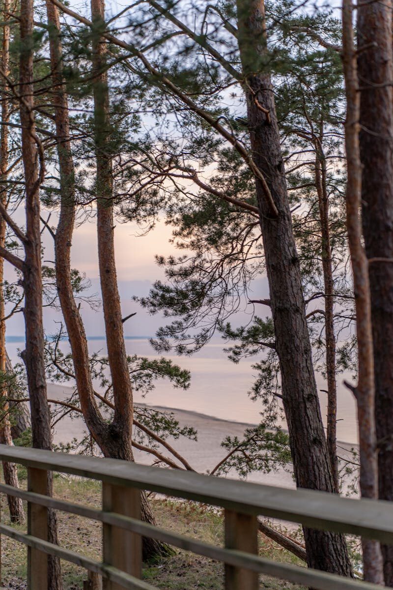 Homelessness & Community Safety