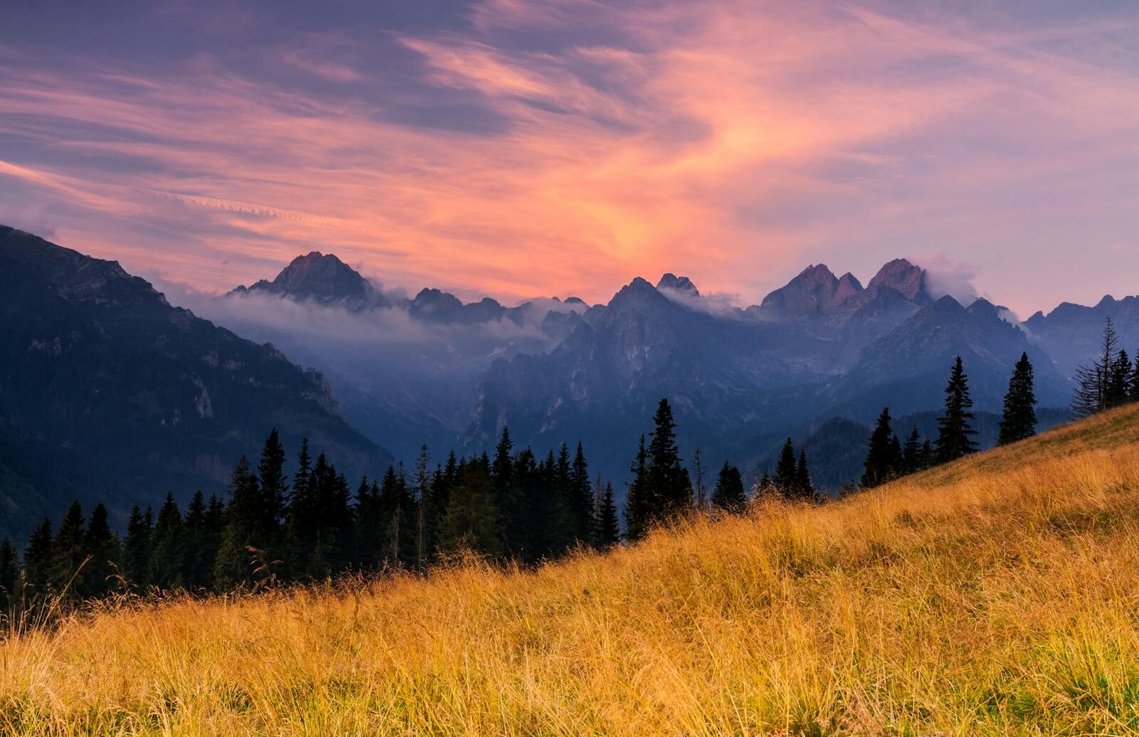 Housing Stabilization